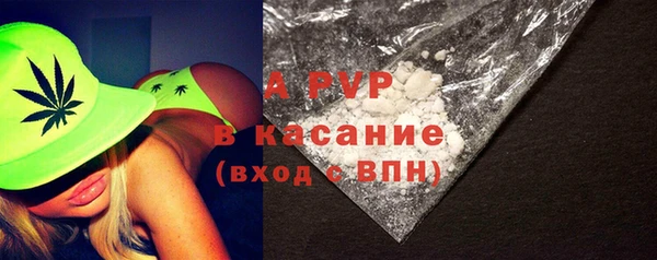 МДПВ Пересвет