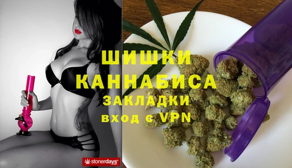 гашик Алзамай